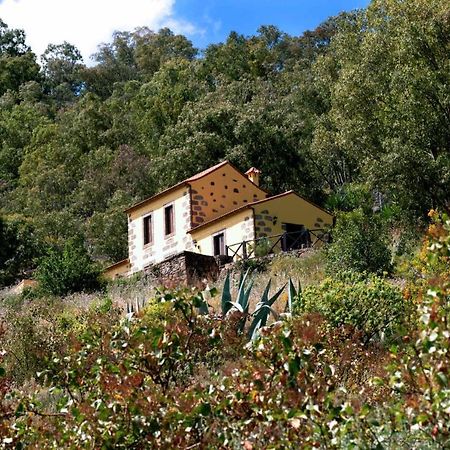 Casa Rural Las Caldereras Teror Eksteriør billede