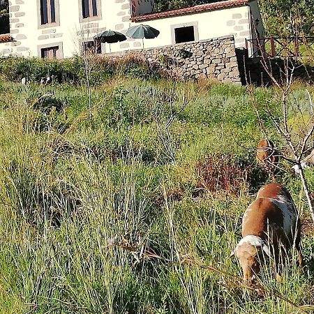 Casa Rural Las Caldereras Teror Eksteriør billede