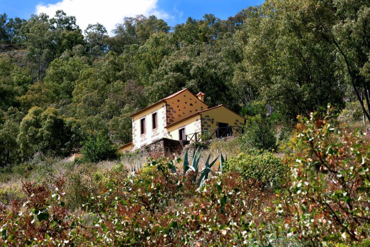 Casa Rural Las Caldereras Teror Eksteriør billede