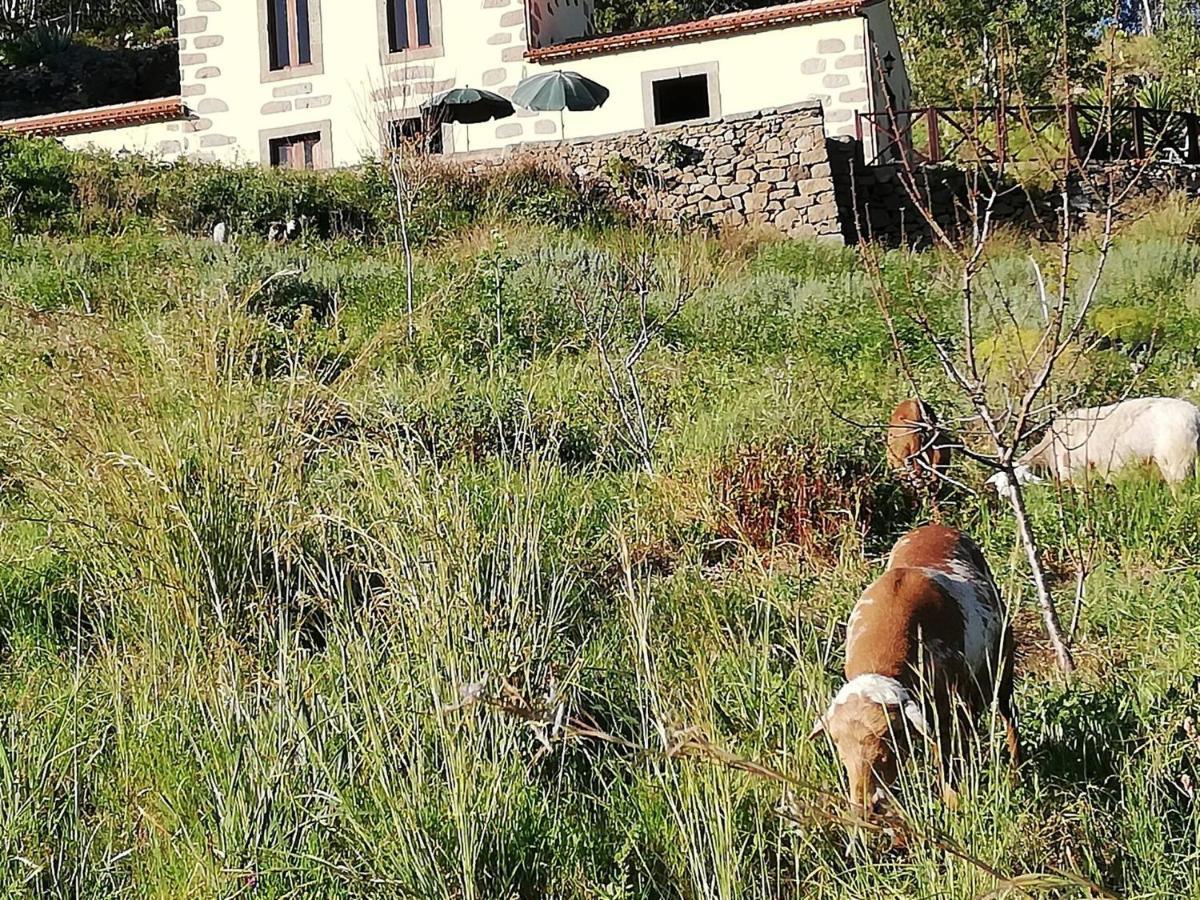 Casa Rural Las Caldereras Teror Eksteriør billede