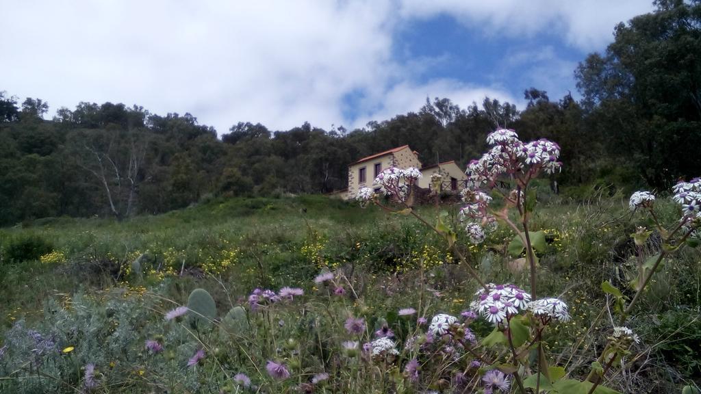 Casa Rural Las Caldereras Teror Eksteriør billede